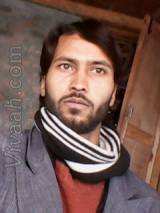 VIW1284  : Malik (Urdu)  from  Jammu