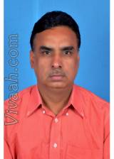 VIW8877  : Brahmin Gour (Hindi)  from  Ajmer