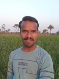 VVA0553  : Jatav (Hindi)  from  Guna