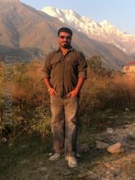 VVB0534  : Other (Punjabi)  from  Hoshiarpur