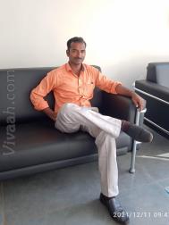 VVB0652  : Lingayat (Kannada)  from  Belgaum