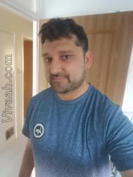 VVB1047  : Brahmin (English)  from  Stevenage