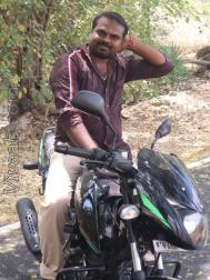 VVB1261  : Pillai (Tamil)  from  Tiruchirappalli