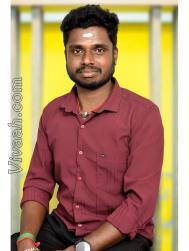 VVB1585  : Adi Dravida (Tamil)  from  Chennai