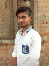 VVB1587  : Sonar (Hindi)  from  Lakhimpur Kheri