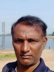 VVB1786  : Lingayat (Kannada)  from  Bangalore