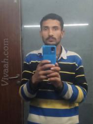 VVB3162  : Rajput (Himachali/ Pahari)  from  Sirmaur