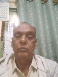 VVB3588  : Brahmin Jangid (Hindi)  from  Dubai