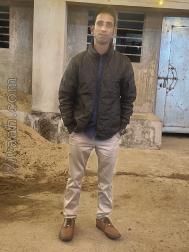 VVB3953  : Ansari (Urdu)  from  Mumbai