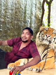 VVB4465  : Mapila (Tamil)  from  Ampara