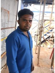 VVB4569  : Arunthathiyar (Tamil)  from  Erode