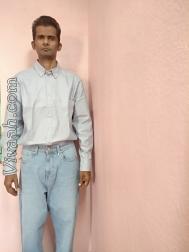 VVB4642  : Other (Telugu)  from  Rajahmundry