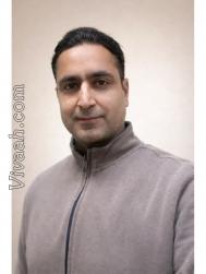 VVB4643  : Arora (Hindi)  from  Panchkula