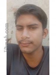 VVB4683  : Brahmin Dravida (Hindi)  from  Noida