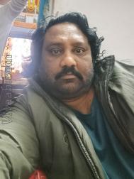 VVB5475  : Brahmin Saryuparin (Hindi)  from  Gorakhpur