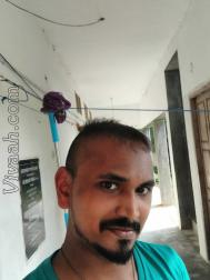 VVB7122  : Kalar (Tamil)  from  The Nilgiris