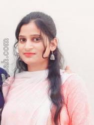 VVB7307  : Pal (Hindi)  from  Bareilly