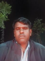 VVB7376  : Kushwaha (Hindi)  from  Rajgarh