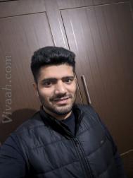 VVB7393  : Khatri (Punjabi)  from  Jalandhar