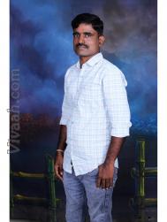 VVB7495  : Devanga (Kannada)  from  Tiruppur