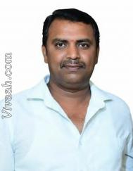 VVB7497  : Gowda (Kannada)  from  Hassan