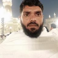 VVB7733  : Awan (Urdu)  from  Tabuk (Tabuk)