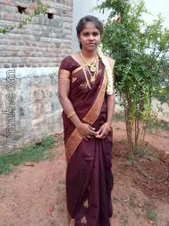 VVB7829  : Vanniyakullak Kshatriya (Tamil)  from  Chennai