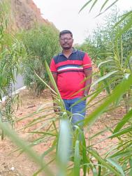 VVB8026  : Nadar (Tamil)  from  Srivilliputhur