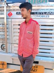 VVB8101  : Rajput (English)  from  Rajgarh