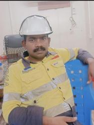 VVB8239  : Devendra Kula Vellalar (Tamil)  from  Tirunelveli