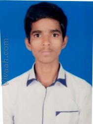 VVB8380  : Mali (Bihari)  from  Sheikhpura