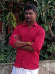 VVB8442  : Pillai (Tamil)  from  Tirunelveli