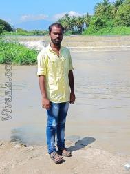 VVB8453  : Marvar (Tamil)  from  Madurai