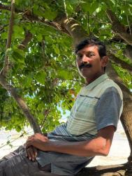 VVB8838  : Naidu (Telugu)  from  Chennai