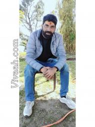 VVB9005  : Brahmin (Hindi)  from  Noida
