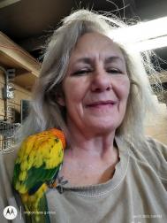 VVC0390  : Other (English)  from  San Diego (California)