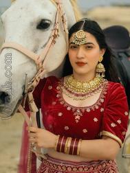 VVC0706  : Rajput (Marwari)  from  Udaipur