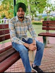 VVC0771  : Saini (Hindi)  from  Kurukshetra