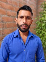 VVC2194  : Pal (Hindi)  from  Unnao