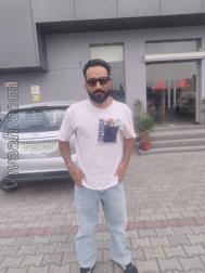VVC2217  : Brahmin Vashishth (Punjabi)  from  Ludhiana