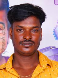 VVC2729  : Adi Dravida (Tamil)  from  Chennai