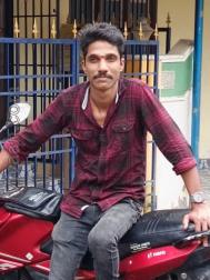 VVC3503  : Sozhiya Vellalar (Tamil)  from  Thiruvarur