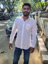 VVC4426  : Pillai (Tamil)  from  Chennai