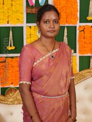 VVC5650  : Adi Dravida (Tamil)  from  Chingleput