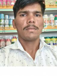 VVC5894  : Maratha (Marathi)  from  Solapur