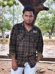 VVC6103  : Arekatica (Telugu)  from  Tirupati