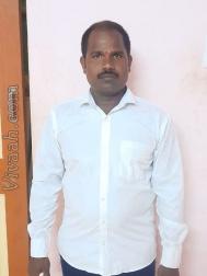 VVC7402  : Vanniyakullak Kshatriya (Tamil)  from  Villupuram