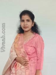 VVC8654  : Pal (Hindi)  from  Kanpur