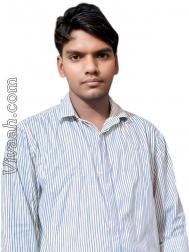 VVC8897  : Pal (Hindi)  from  Noida