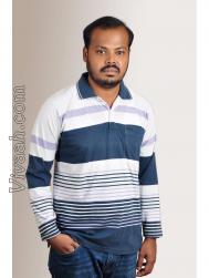 VVE0185  : Shafi (Tamil)  from  Thanjavur